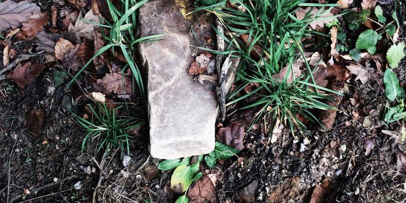 AZL网络商城会员专享活动全解析：掌握北欧风设计在线购物的省钱秘诀