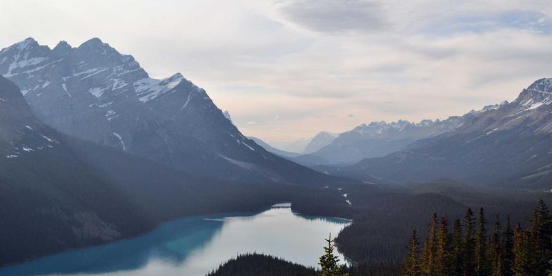 AZL商店36：当北欧极简邂逅红色激情，定义新一代网络购物美学