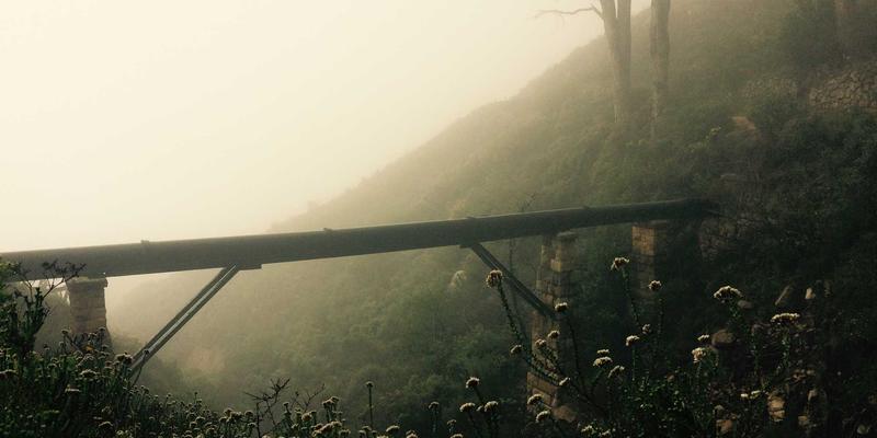 AZL商店40：当红色主题邂逅北欧风设计，电商平台的艺术化商业新解