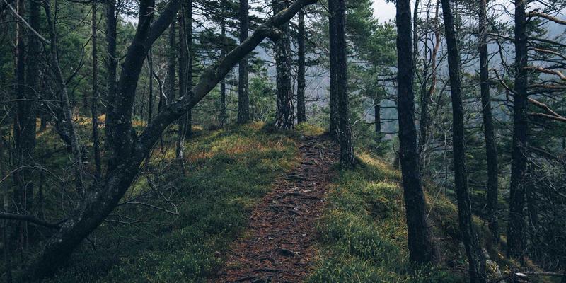 AZL商店56:当北欧极简邂逅中国红,在线购物体验的革新演绎