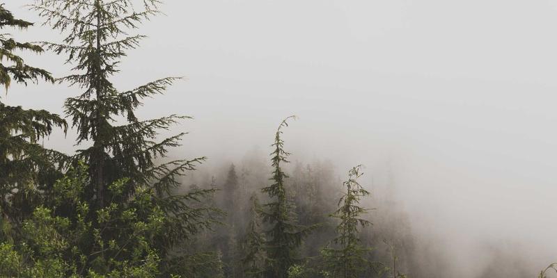 AZL商店67：当红色主题邂逅北欧风设计，打造电商平台的视觉革命