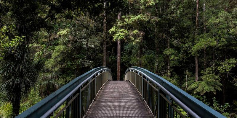 AZL商店81:探索新一代在线购物体验的电商平台
