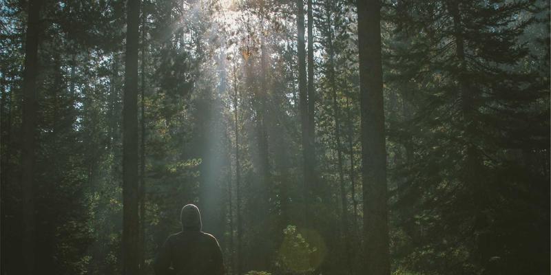 AZL商店92：探索北欧风设计的纯净美学与便捷在线购物体验