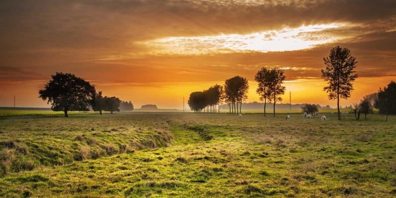 AZL商店全屋定制服务流程详解：从在线购物到红色主题梦想家的完美落地