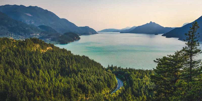 AZL商店发展之路:从网络商城到在线购物新体验的演进