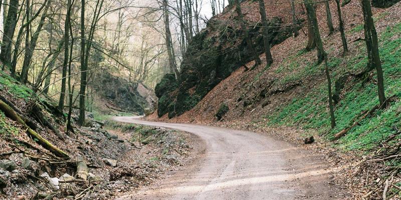 AZL商店在线购物全攻略：解锁红色主题家居用品的选购与风格搭配秘诀