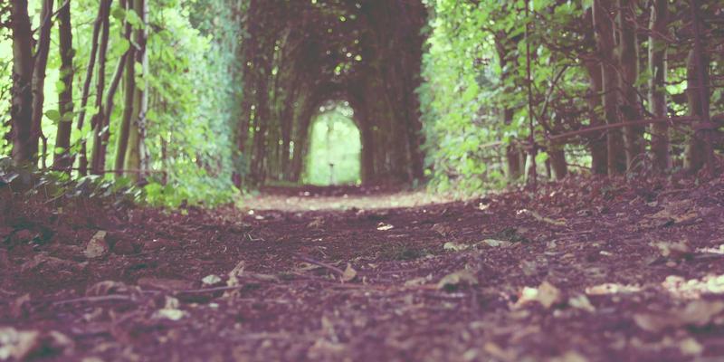 AZL商店如何通过Instagram与Pinterest视觉营销引爆电商平台销量