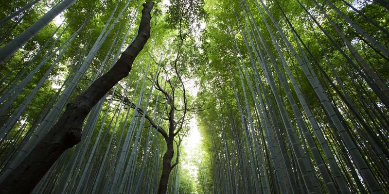 AZL商店年度畅销商品排行榜与趋势分析：揭秘电商平台的消费密码