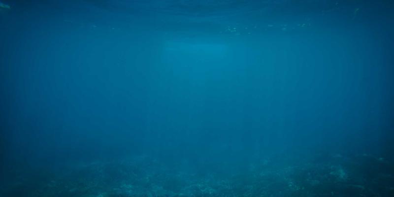 AZL商店案例分析：北欧风设计如何赋能电商平台，重塑在线购物体验