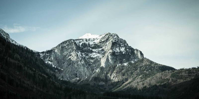 AZL商店正品保障全解析：在线购物如何通过红色主题溯源系统辨别真伪