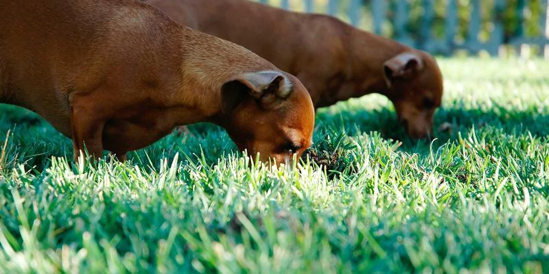 AZL商店物流与配送服务深度评测：揭秘北欧风家具的包装、安装与在线购物体验