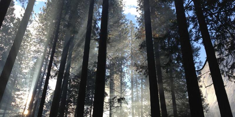AZL商店设计师专访：揭秘北欧风在线购物中红色主题家居的创意灵感与品牌故事