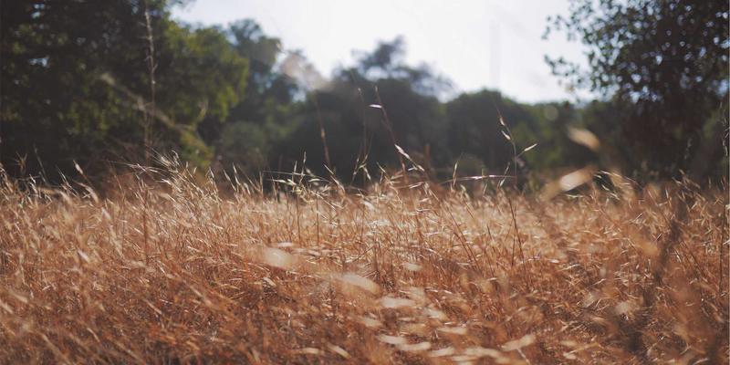 AZL网络商城：北欧风厨房收纳设计，让小户型空间倍增的电商平台精选方案
