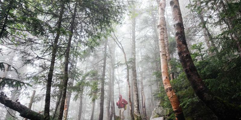 AZL网络商城北欧风环保产品线深度评测：电商平台上的可持续生活美学