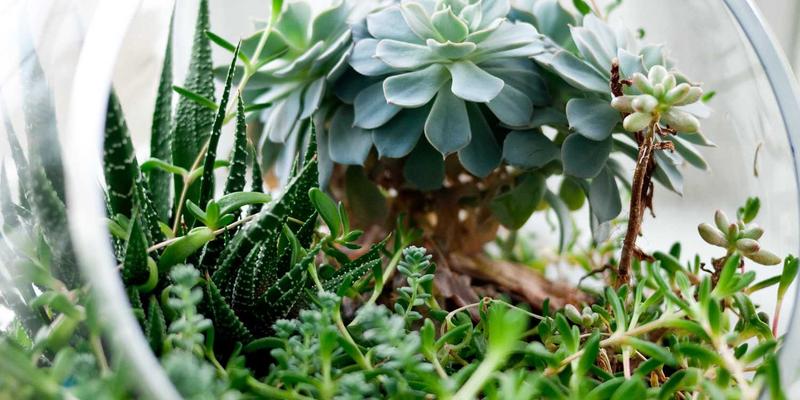 AZL网络商城客户服务体验全解析：红色主题电商平台的贴心退换货流程