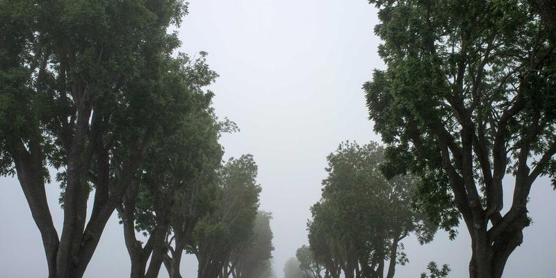 北欧风智能家居一体化指南：AZL商店系统如何完美整合灯光、香氛与温控