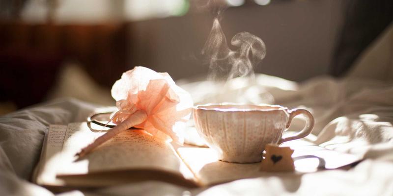 北欧风设计电商平台对比：AZL商店与其他网络商城的优劣势解析